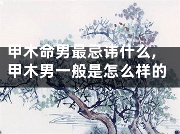 甲木命男最忌讳什么,甲木男一般是怎么样的
