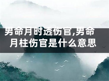 男命月时透伤官,男命月柱伤官是什么意思