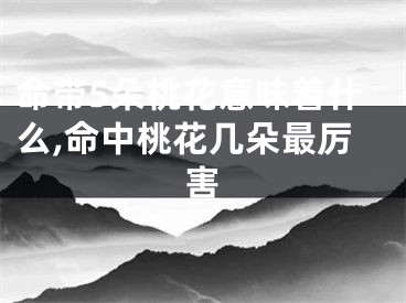 命带5朵桃花意味着什么,命中桃花几朵最厉害