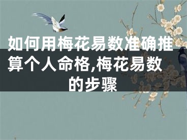 如何用梅花易数准确推算个人命格,梅花易数的步骤