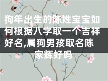 狗年出生的陈姓宝宝如何根据八字取一个吉祥好名,属狗男孩取名陈家辉好吗