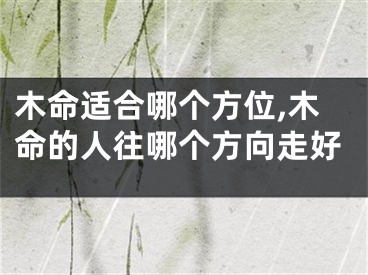 木命适合哪个方位,木命的人往哪个方向走好