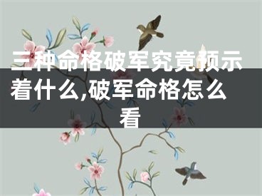 三种命格破军究竟预示着什么,破军命格怎么看