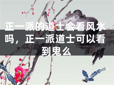 正一派的道士会看风水吗，正一派道士可以看到鬼么
