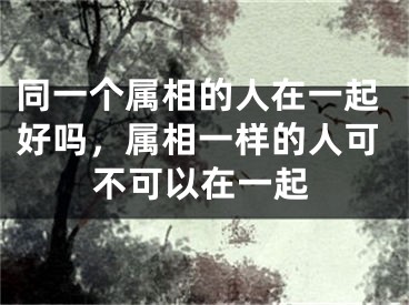 同一个属相的人在一起好吗，属相一样的人可不可以在一起