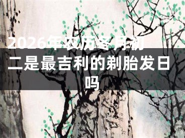 2026年农历冬月初二是最吉利的剃胎发日吗