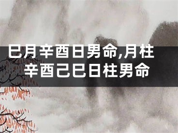 巳月辛酉日男命,月柱辛酉己巳日柱男命
