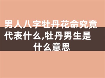 男人八字牡丹花命究竟代表什么,牡丹男生是什么意思