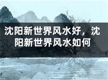 沈阳新世界风水好，沈阳新世界风水如何