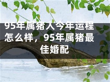 95年属猪人今年运程怎么样,95年属猪最佳婚配
