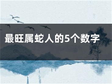 最旺属蛇人的5个数字
