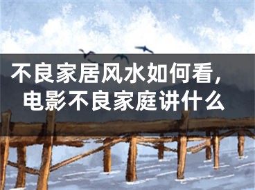 不良家居风水如何看,电影不良家庭讲什么