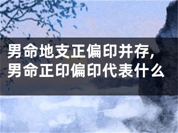 男命地支正偏印并存,男命正印偏印代表什么
