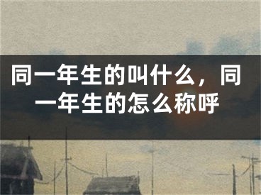 同一年生的叫什么，同一年生的怎么称呼