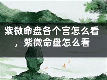 紫微命盘各个宫怎么看，紫微命盘怎么看