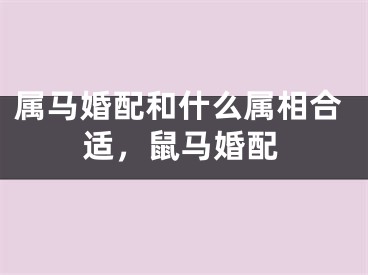 属马婚配和什么属相合适，鼠马婚配