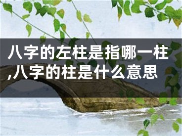 八字的左柱是指哪一柱,八字的柱是什么意思