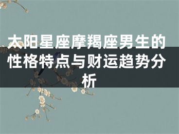 太阳星座摩羯座男生的性格特点与财运趋势分析 