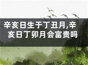 辛亥日生于丁丑月,辛亥日丁卯月会富贵吗