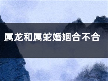 属龙和属蛇婚姻合不合