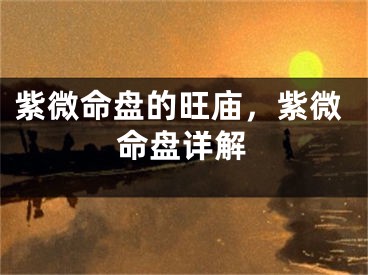 紫微命盘的旺庙，紫微命盘详解