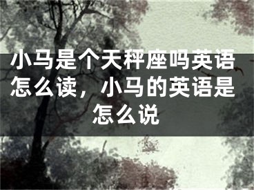 小马是个天秤座吗英语怎么读，小马的英语是怎么说