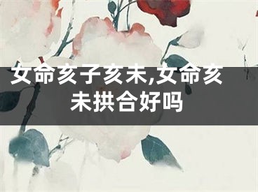 女命亥子亥未,女命亥未拱合好吗
