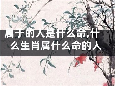 属于的人是什么命,什么生肖属什么命的人