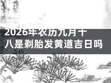 2026年农历九月十八是剃胎发黄道吉日吗