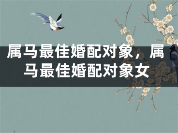 属马最佳婚配对象，属马最佳婚配对象女