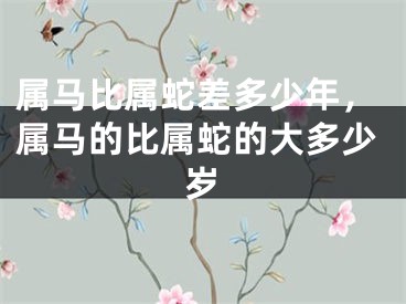 属马比属蛇差多少年，属马的比属蛇的大多少岁