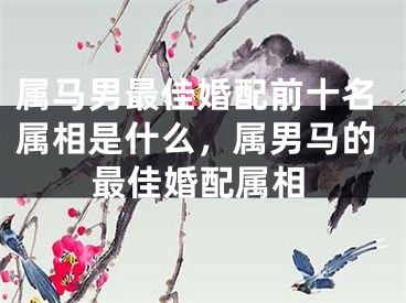 属马男最佳婚配前十名属相是什么，属男马的最佳婚配属相