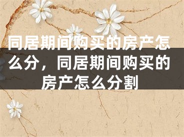 同居期间购买的房产怎么分，同居期间购买的房产怎么分割