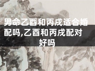 男命乙酉和丙戌适合婚配吗,乙酉和丙戌配对好吗