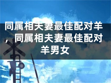 同属相夫妻最佳配对羊，同属相夫妻最佳配对羊男女
