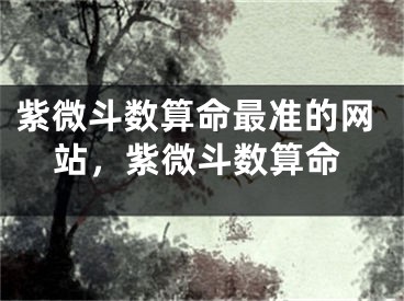 紫微斗数算命最准的网站，紫微斗数算命