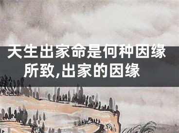 天生出家命是何种因缘所致,出家的因缘