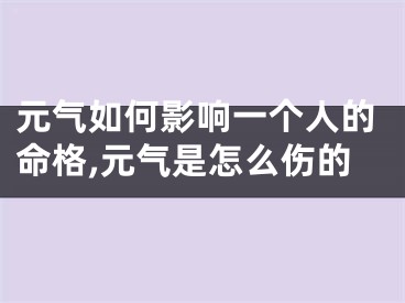 元气如何影响一个人的命格,元气是怎么伤的