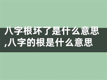 八字根坏了是什么意思,八字的根是什么意思