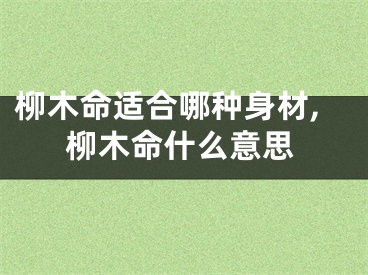 柳木命适合哪种身材,柳木命什么意思