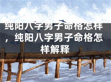 纯阳八字男子命格怎样，纯阳八字男子命格怎样解释
