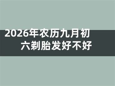 2026年农历九月初六剃胎发好不好