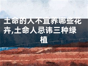 土命的人不宜养哪些花卉,土命人忌讳三种绿植