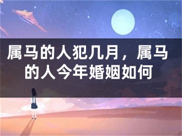 属马的人犯几月，属马的人今年婚姻如何
