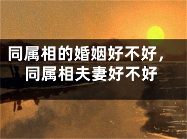 同属相的婚姻好不好，同属相夫妻好不好
