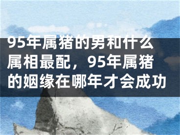 95年属猪的男和什么属相最配,95年属猪的姻缘在哪年才会成功