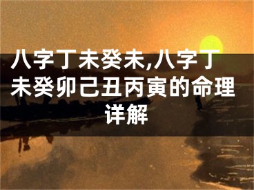 八字丁未癸未,八字丁未癸卯己丑丙寅的命理详解