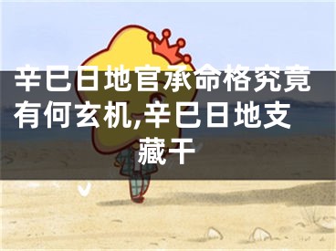 辛巳日地官承命格究竟有何玄机,辛巳日地支藏干