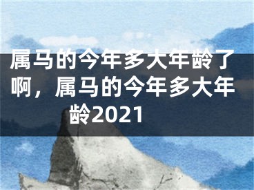 属马的今年多大年龄了啊，属马的今年多大年龄2021