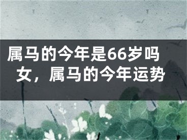 属马的今年是66岁吗女，属马的今年运势